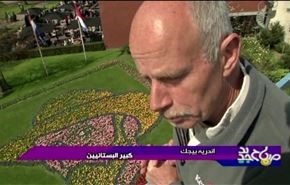هولندا فسيفساء من زهور الزنبق