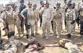 مقتل 20 قيادياً بـ