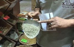 التداوي بالاعشاب في مصر