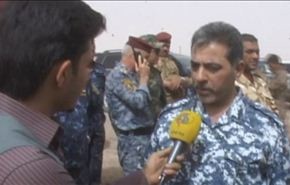 بالفيديو، حرب عصابات ضد خلايا 
