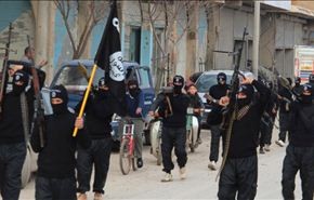 تقرير: 115 بوسنيا يقاتلون بجانب 