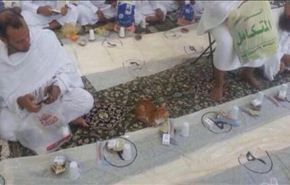 بالصور.. قطة تحجز مكانها للإفطار بالحرم المكي!