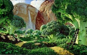تابلوهای دیدنی و خوردنی + عکس