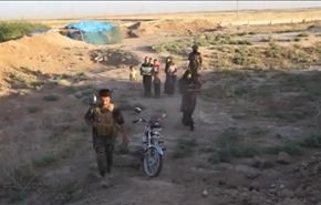 فيديو: الحشد الشعبي ينقذ عوائل هاربة من 