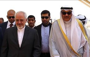 ظريف: لا نتفهم قلق بعض الدول من حسم الملف النووي الایراني