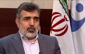 كمالوندي: على امانو صيانة استقلال الوكالة الذرية وحياديتها