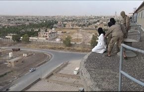 بالصور؛ 