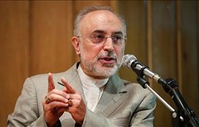 صالحي: نشاطاتنا النووية ستركز على دخول القطاع التجاري