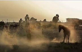 فيلم ايراني يتنافس على جائزة 