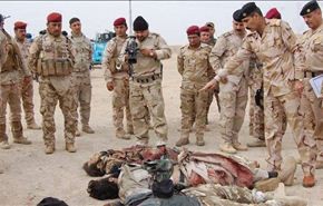مقتل اكثر من 125 من 