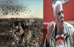 كاتب مصري يدافع عن فيلم 