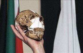 مخلوقات رشيقة شبيهة بالانسان قبل مليوني عام +فيديو وصور
