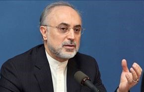 صالحي یبحث کیفیة اداء بنك تخزین الوقود النووي بکازاخستان