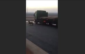 شاهد مطاردة تحبس الأنفاس لخروف هارب