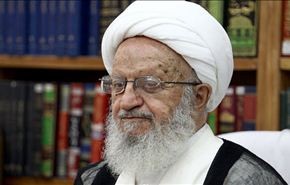 مكارم شيرازي يطالب بتشكيل هيئة كفوءة لإدارة شؤون الحج