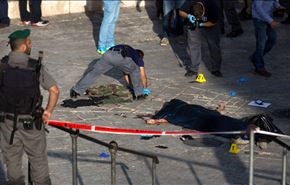 مصادر اسرائيلية: استعداد شباب فلسطين للتضحية غيّر الواقع