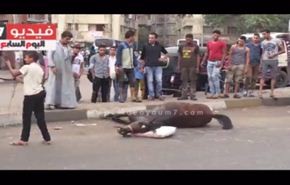 فيديو مؤثر.. رجل يضع وساده لحصانه وهو يلفظ أنفاسه الأخيرة