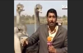 فيديو رائع.. مذيع عراقي يتعرض لموقف محرج على الهواء