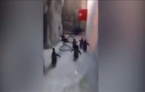 لقطات طريفة لمحاولة 