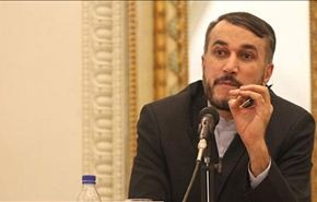 عبداللهيان: حذرنا حماة 