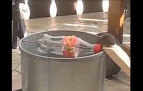 بالفيديو.. أذكى الطرق لاصطياد الفئران من المنزل