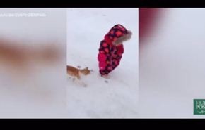 فيديو.. كيف انتقمت قطة من طفلة تجاهلتها!