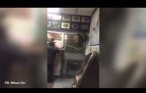 بالفيديو.. ثعلب يتصنع الموت ويهرب من الصياد