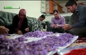 مهرجان عمار السينمائي الدولي للافلام الشعبية