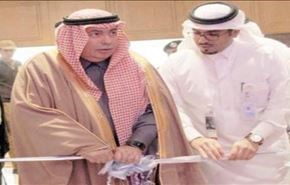 غاب 