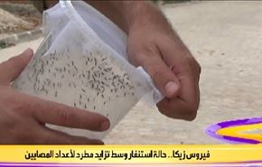 فيروس زيكا حالة استنفار وسط تزايد مطرد لأعداد المصابين
