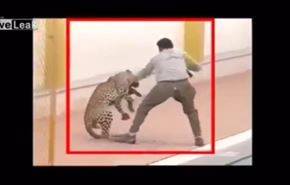 بالفيديو... نمر يهاجم مدرسة في الهند