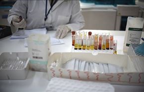 السعودية تحذر من بعوضة زيكا في جدة وجازان