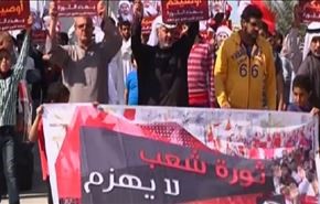 بالفيديو.. ثورة تنبض بنفس القوة.. ولا تقادم زمني لها!