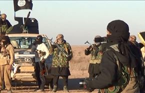 لا حرية للطيور بعد اليوم بالموصل.. واليك السبب!