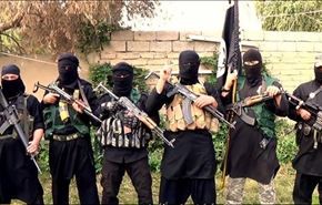 كشف أرقام جديدة لالمان يقاتلون مع 