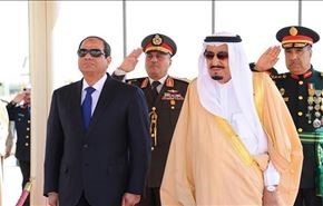 ديفيد هيرست: الملك سلمان لن يحزن إذا تمت الإطاحة بالسيسي