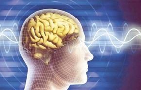 هذه النبتة تقي من إشعاعات الهواتف الذكية‎