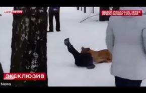 فيديو صادم... أسد يحاول افتراس طفل في حديقة حيوان!