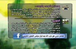 تضامن عربي مع حزب الله بعد قرار مجلس التعاون الخليجي