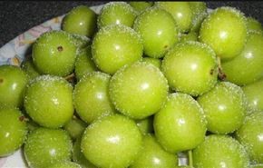 فاكهة خضراء ذات فوائد مذهلة... فما هي؟