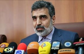 كمالوندي: إيران مستعدة للتعاون النووي مع دول الجوار