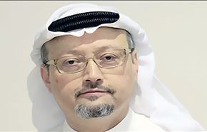 تيران وصنافير جزء من رؤية 