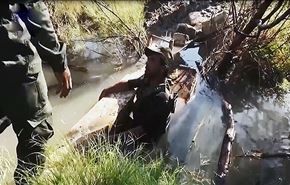 مقطع فيديو عن الحشد الشعبي لن تراه في حياتك مرتين