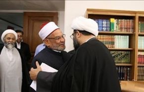 الازهر: نعد ملفا للتقريب بين السنة والشيعة يكشف جهل السلفيين
