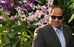 صعود السيسي والتهيئة لتقبل التطبيع مع 