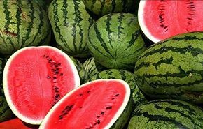 البطيخ.. فوائد بالجملة لـ