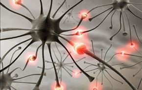 اكتشاف بروتين يحمي من الزهايمر