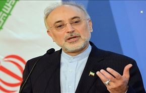 صالحي: ايران تشارك بجد في المشروع الدولي للانصهار النووي