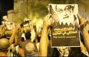 فيديو: 