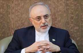 صالحي: أميركا ارغمت على توقيع الاتفاق النووي مع ايران